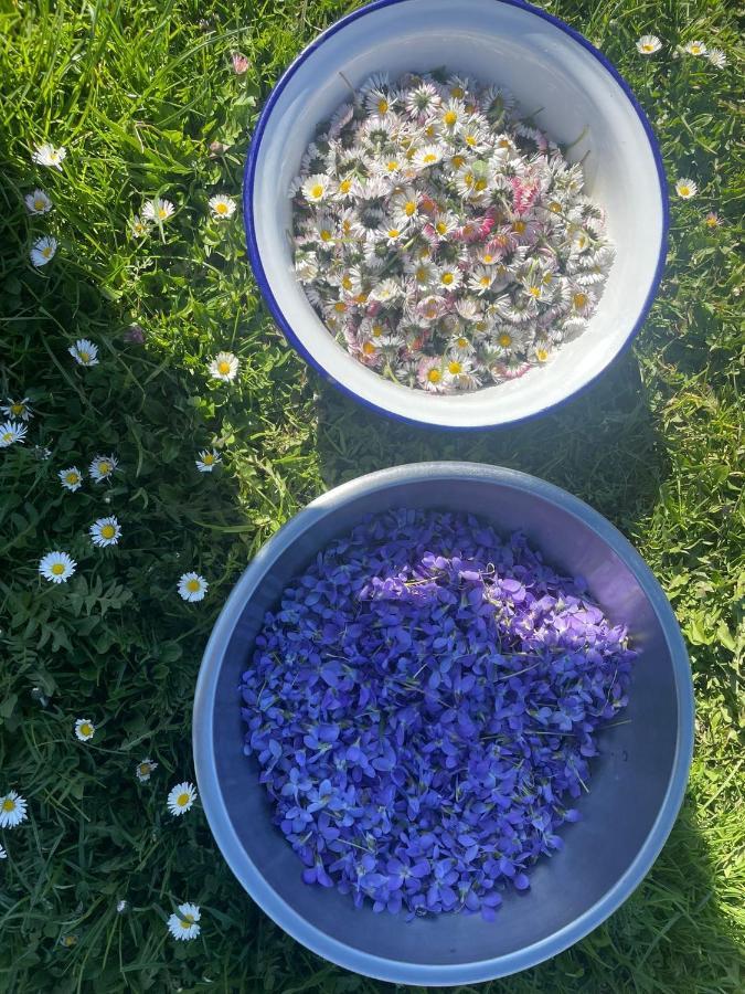 Gaestehaus Post Aigner 格赖芬堡 外观 照片